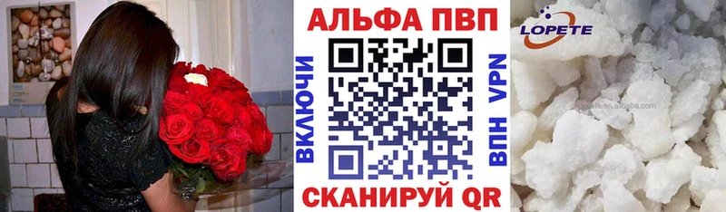 A-PVP СК Выборг