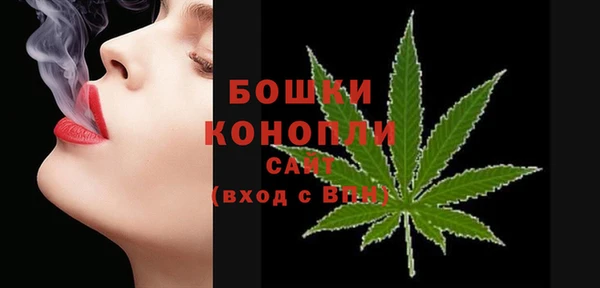 шишки Бугульма