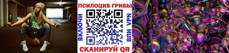 Псилоцибиновые грибы мицелий  Выборг 